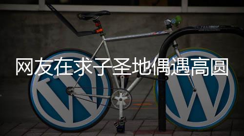 地偶么时网友候结婚的遇高圆圆又廷圆什高圆在求子圣 赵