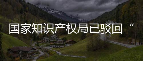 驳回标心3万国家知识申请局已机商件产权